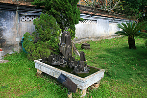 Plants on a rock in a tub