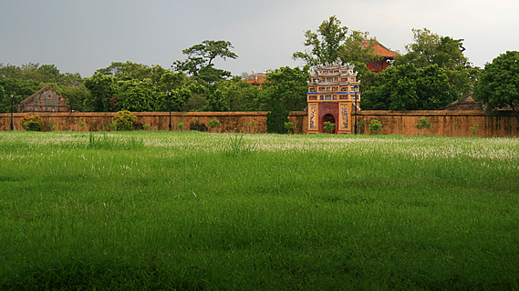 Stone Walls and Large Fields