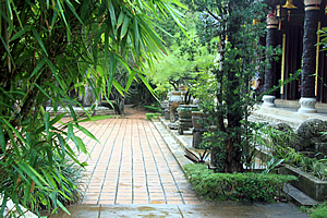 Overgrown garden at the temple
