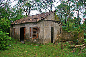 Dilapidated house