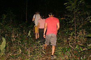 Exploring the jungle