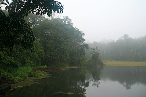 Heavy fog over the lake