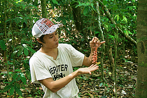 Siamet shows us the forest