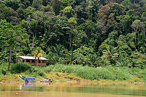 Hut by the river at the village