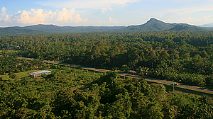 Tomb of the Chiefs above the Jungle