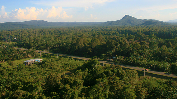Tomb of the Chiefs above the Jungle