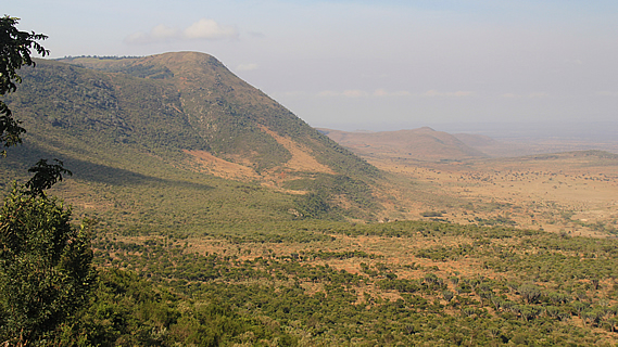 A Continent Tearing Itself Apart