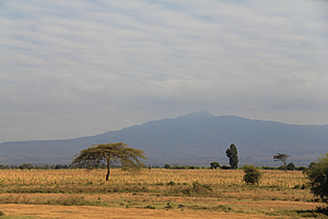 The Rift Valley 