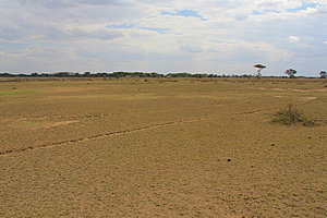 Across the plain to the eco lodge 
