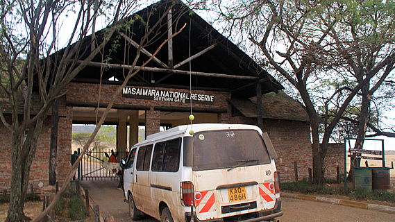 A Rare Storm in the Dry Season