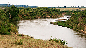 The Mara River