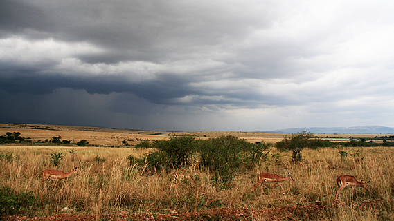 An Illegal Border Crossing