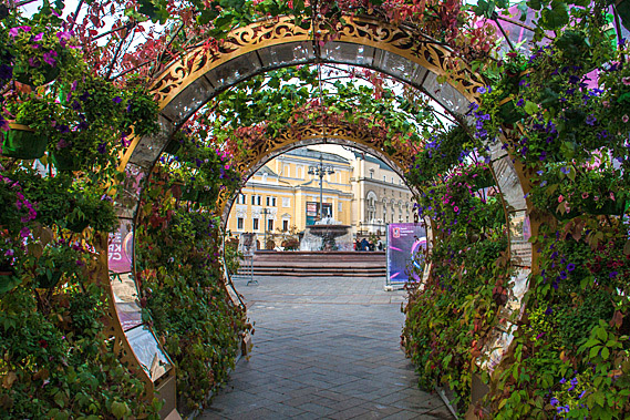 Bougainvillia arch