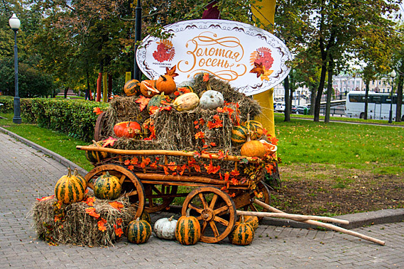 Pumpkin cart