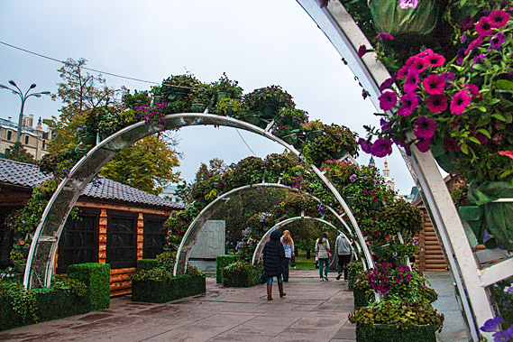 Flower arches