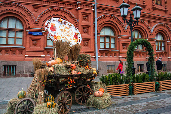 Harvest festival stall