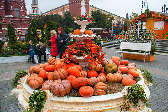 Large pumpkin display