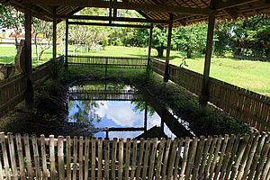 "Mass Grave of 450 Victims"