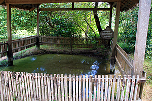 "Mass grave of 166 victims without heads."