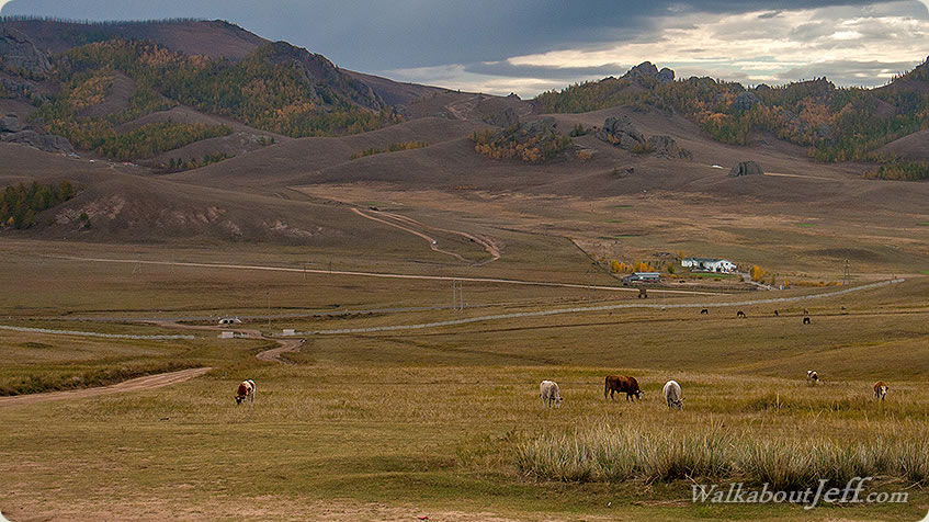 Into the wilderness of Terelj
