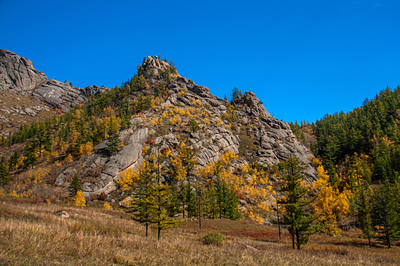 Outcrops and forest