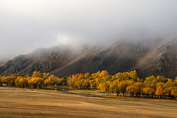 Fog over Tuul Valley