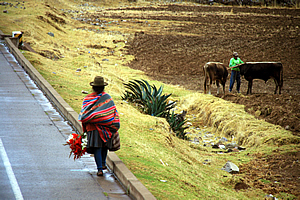 Hitchhiking woman