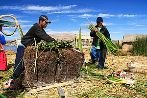 Demonstration of construction of village