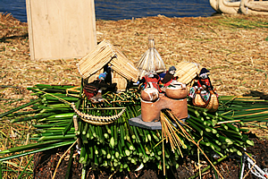 Demonstration of construction of village
