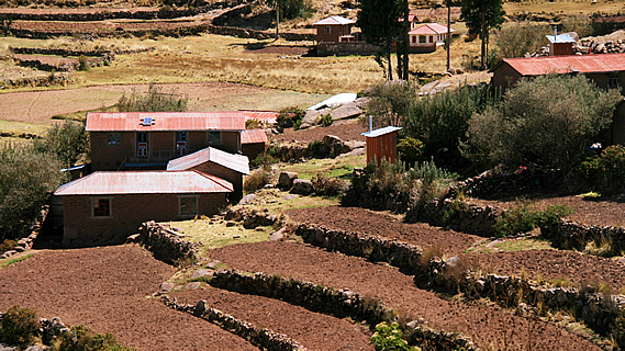 Island where old Men Knit