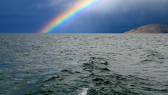 The Other Boats Turned Back