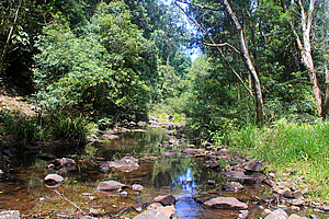 Rocky Creek