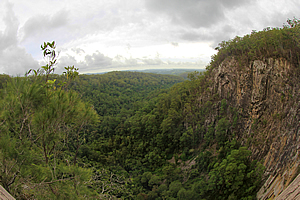 Gorge below Minyon Falls 