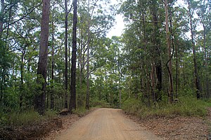 Road over Mount Jerusalem