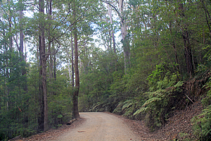 Road over Mount Jerusalem
