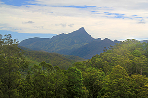 Mount Warning