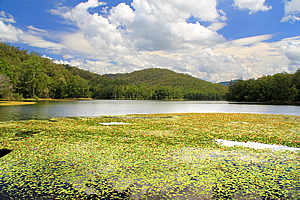 Lake