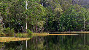 Dusty Road into the Caldera