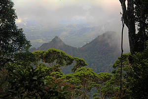 View over the surrounding hills 