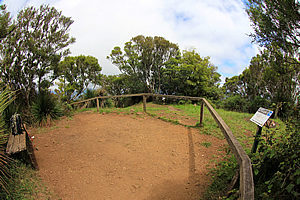 Clearing at the summit 