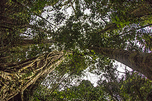 Looking up!