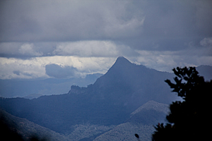 Mount Warning