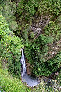 Coomera Falls