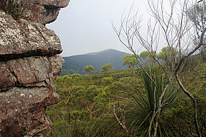 Surprise Rock