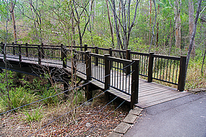 Start of Cedar Creek track