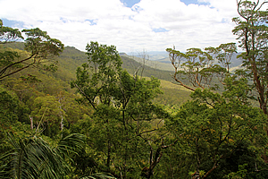 View from Witches Falls