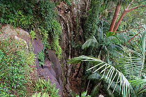 Witches Falls 