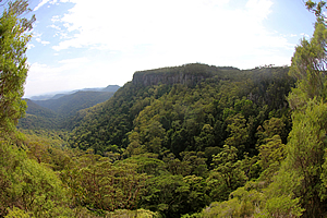 Canyon Lookout