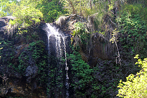 Twin Falls 