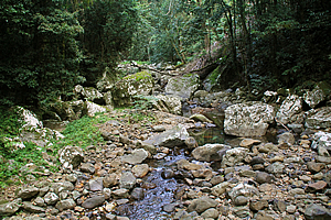 Cave stream